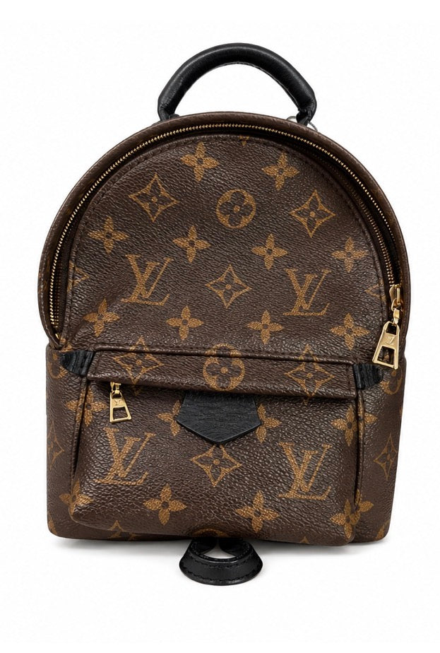 Pre-Ownde LV Palm Springs mini backpack
